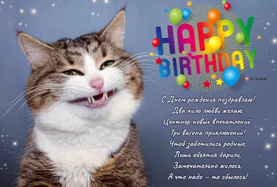 Открытка ручной работы на день рождения Веселые коты (ID#1933579977), цена:  650 ₴, купить на 