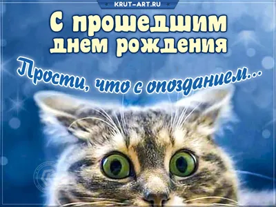 Открытка на счастье с котиком