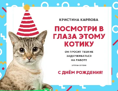 С Днём Рождения Кота - 50 праздничных картинок