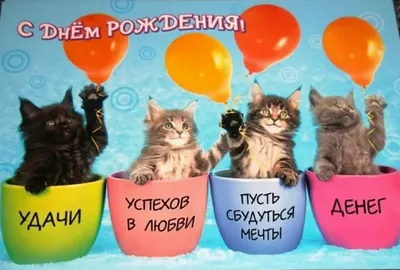Открытка с днем рождения милый котик - 71 фото
