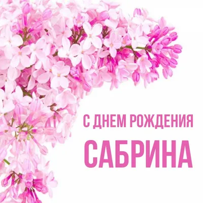 Набор "С Днём Рождения, Сабрина!" - купить в интернет-магазине OZON с  доставкой по России (583383471)