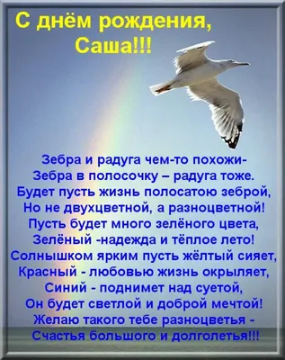 Открытки и прикольные картинки с днем рождения для Александра, Саши и  Санечки