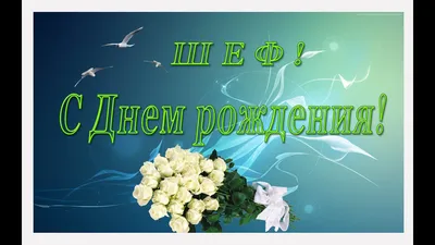 С днем рождения Шеф! (LX) (id 89145877)