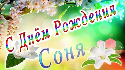 Картинка с днем рождения Сонечка (скачать бесплатно)