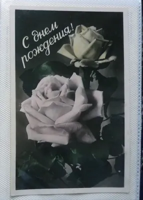 Старые поздравительные открытки (65 фото)