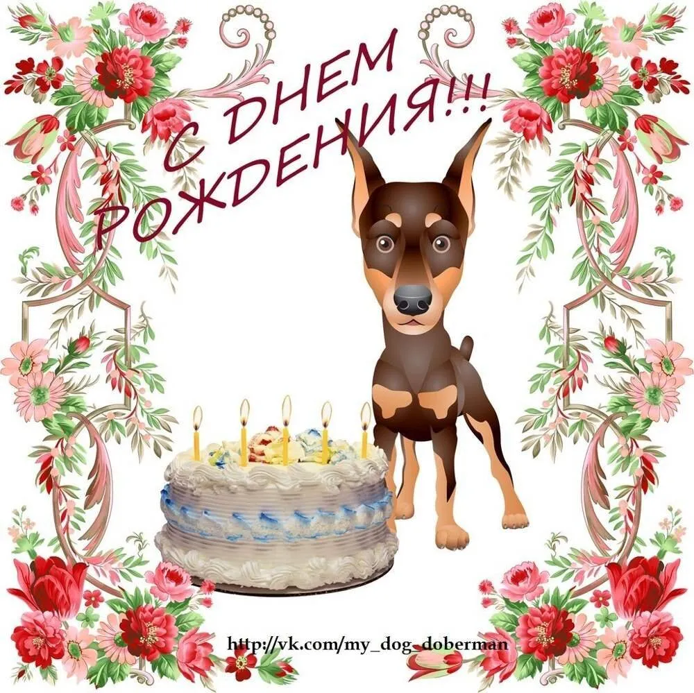 С днем рождения картинки с собачкой. Поздравительные открытки с собаками. С днём рождения собачки. Поздравления с днём рождения с собачками. Открытка с днём рождения с собачкой.