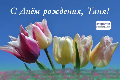 С Днем Рождения Татьяна💐 | Мультяшные Поздравления | Дзен