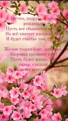 Желаем вам учеников прилежных, зарплат высоких, творческих идей. И на  работе дней только успешных, чтобы гордились вы профессией своей!»:  читатели поздравляют любимых педагогов с Днем учителя - 