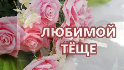 Поздравления теще от зятя прикольные - 73 фото