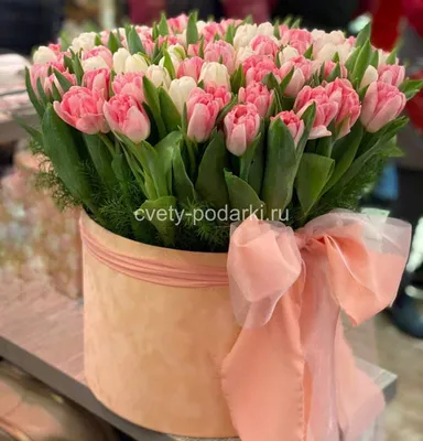 51 тюльпан | купить недорого | доставка по Москве и области