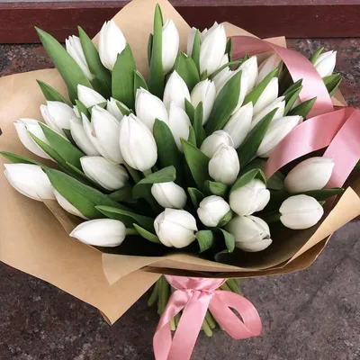 Белые тюльпаны открытка с днем рождения - 57 фото