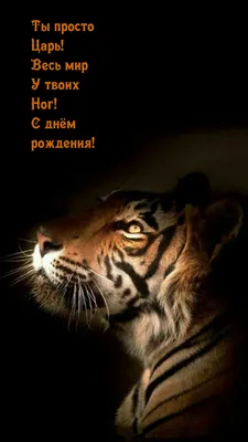 С Днем Рождения, наш Великий Царь" - как ватники поздравляют Путина с днем  рождения