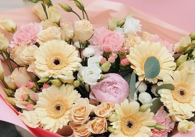 Букет из 31 разноцветной герберы - купить в Москве по цене 5790 р - Magic  Flower