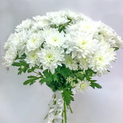 Купить букет из хризантемы сорта «Антонов» и лимониума в Томске - доставка  цветов MAKI