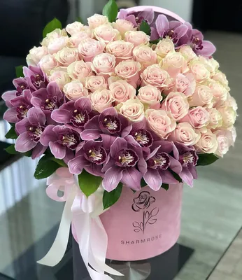 Gefällt 2,009 Mal, 10 Kommentare - SHARMROSE©️ (@sharmrose) auf Instagram:  „Сочетание розы и орхидеи в бархате … | Розовые розы, Цветочные композиции,  Красивые розы