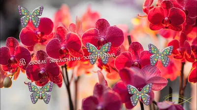Открытка сложно-техническая "С Днем Рождения!" орхидея, бабочки, А5  (2909698) - Купить по цене от  руб. | Интернет магазин 