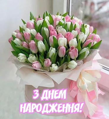 151 пионовидный тюльпан в коробке - Доставкой цветов в Москве! 15624  товаров! Цены от 487 руб. Цветы Тут