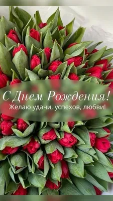 С Днем Рождения Цветы Тюльпаны #44