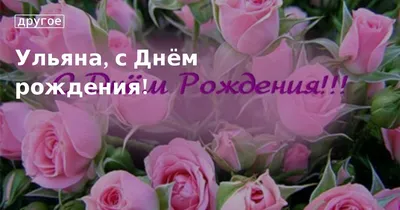 С Днём Рождения Ульяна!💜 Именно с Ульяны 4 года назад начался Домик  Мелкашей🙏🏼 | Домик Мелкашей - приют маленьких собак | Дзен