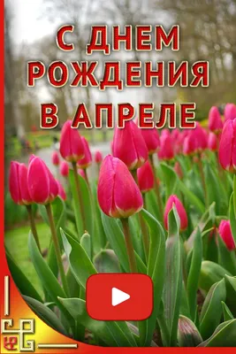 Оригинальные поздравления с Днем рождения в прозе на 12 апреля - Телеграф