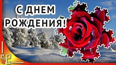 Открытка с днем рождения женщине родившейся в феврале