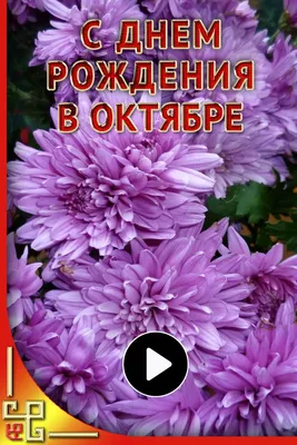 День рождения в октябре #HappyBirthday Очень Красивое поздравление с дне...  | День рождения в октябре, День рождения, С днем рождения