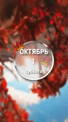 Есть повод поздравить в Бобруйске 5 октября-11 октября! | 