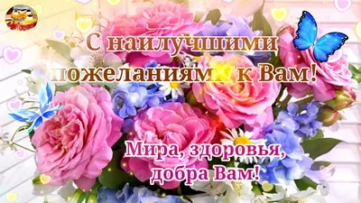 Уважаемая Ирина Николаевна, поздравляем Вас с днём рождения!