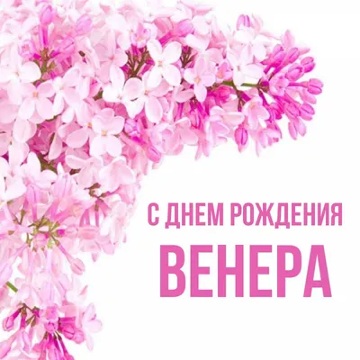 💥Сегодня день Рождения у замечательного тренера клуба «ВЕНЕРА»❤️  Сачко-Лозко Алеся Николаевна! @lozko_coach 🌸Поздравляем с… | Instagram