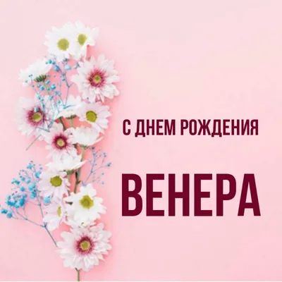 Хомячок Challenge: С днем Рождения, Венера!!!