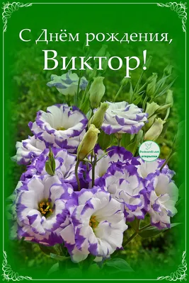 ДонНТУ, г. Донецк on Twitter: "Поздравляем с Днем рождения Виктора Юрьевича  Черникова! Радости, здоровья, любви, улыбок, благополучия и всего самого  лучшего! /VjYVoXfqNj" / Twitter