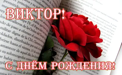 Виктор! С днем рождения! – НЕМЦОВ МОСТ