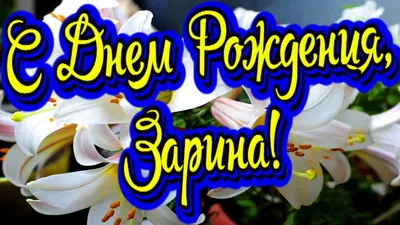 С Днем Рождения Зарета #30