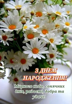 Pin by Анастасия on День рождения in 2022 | Happy birthday wishes, Birthday  images, Happy anniversary | Happy birthday fun, Birthday images, Birthday  fun