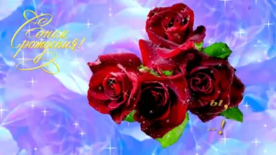Открытка с Днём Рождения Жене от Мужа с розами • Аудио от Путина,  голосовые, музыкальные