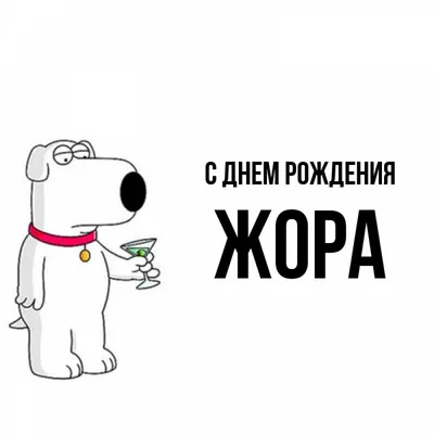 🎉 Жора, с днём... - Школа кино и телевидения «Индустрия» | Facebook