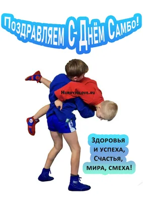 C Днем самбо!