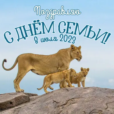 В Немецком районе провели опрос ко Дню семьи, любви и верности | Новое время