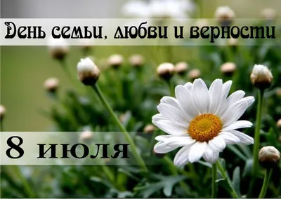 С днем семьи, любви и верности! - УПОЛНОМОЧЕННЫЙ ПРИ ПРЕЗИДЕНТЕ РОССИЙСКОЙ  ФЕДЕРАЦИИ ПО ПРАВАМ РЕБЕНКА