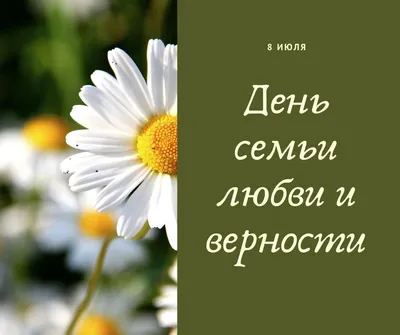 С Днем семьи, любви и верности! - Новости - Администрация сельского  поселения Шеркалы - Органы местного самоуправления муниципального  образования «Сельское поселение Шеркалы» - Структура - Органы местного  самоуправления и учреждения - Сельское ...