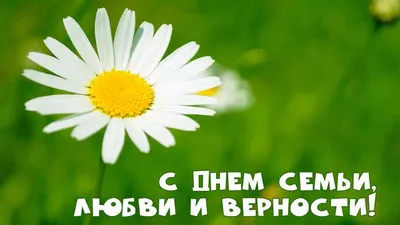 День семьи, любви и верности! — Детский сад 87