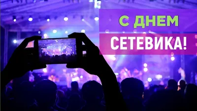 Яркая картинка с днем сетевика