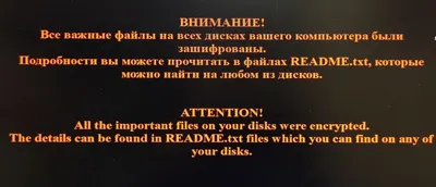 Купить косметику и парфюмерию оптом в России