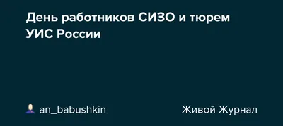 Футболка мужская с принтом С днем работников СИЗО ЧЁ 68767771 купить за 993  ₽ в интернет-магазине Wildberries