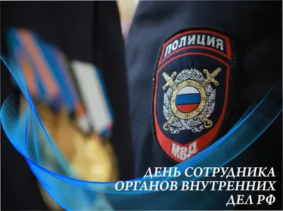 10 ноября — День сотрудника органов внутренних дел Российской Федерации |  "Моя Земля"