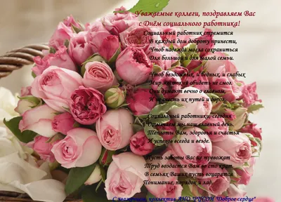 8 июня в России отмечается День социального работника | Министерство  социальной защиты населения Кузбасса