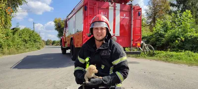 День спасателя 2022: картинки и поздравления для украинских спасателей -  Новости Каменского