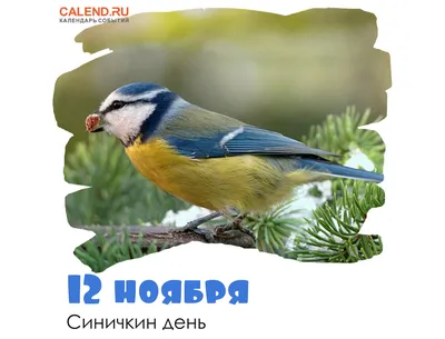 12 ноября — День специалиста по безопасности в России / Открытка дня /  Журнал 