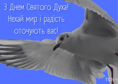 Поздравления в День Святого Духа: картинки на украинском языке — Украина