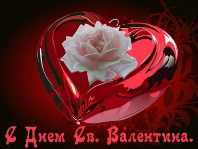 Poster for Sale mit "С Днем святого Валентина, Froher Valentinstag auf  Russisch, Russischer Valentinstag" von DayOfTheYear | Redbubble